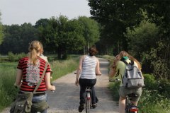 IMG_0020-01