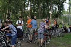 IMG_0049-01