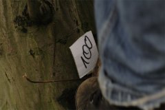 IMG_0093-01