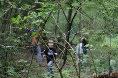 IMG_0136-01