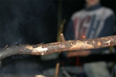 IMG_0272-01