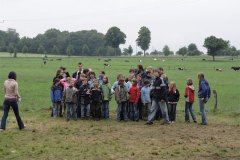 IMG_0318-01