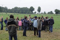 IMG_0320-01