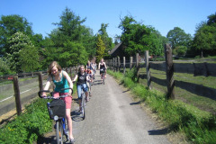 ixus_IMG_3601-9
