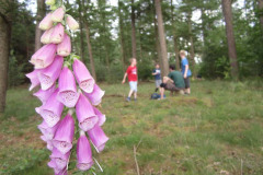 img_4088_4b663fc530