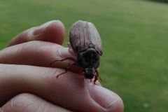 k-img_2016_317622184f