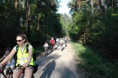 k-img_2016_e203874fa5