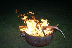 k1024_img__11417023dc
