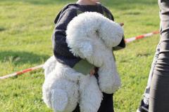 K1600_IMG_6852