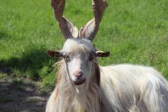 K1600_IMG_7122