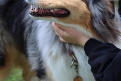 K1600_IMG_7753