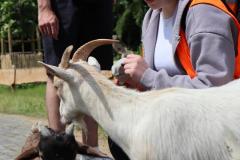 K1600_IMG_7812