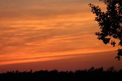 K1600_IMG_8042