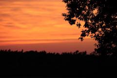 K1600_IMG_8052