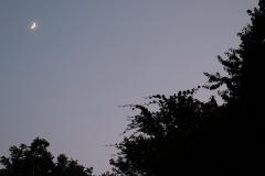 K1600_IMG_8074