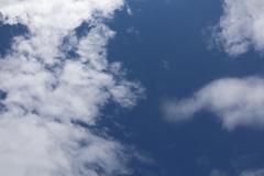 K1600_IMG_8511