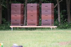 K1600_IMG_8636