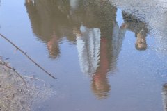 IMG_8364-01