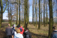 IMG_8373-01
