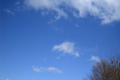 IMG_8376-01