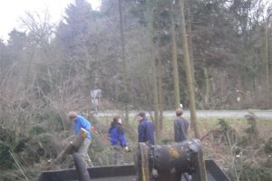 Waldarbeit 2007