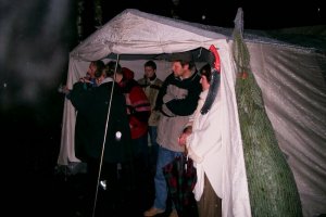 Weihnachtsbaumverkauf 2004
