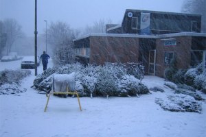 Weihnachtsbaumverkauf 2005
