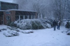 IMG_5530-01