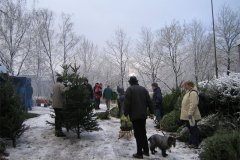 IMG_5538-01