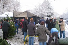 IMG_5548-01