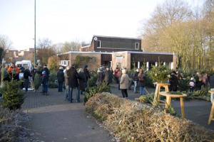 Weihnachtsbaumverkauf 2008